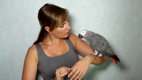 CLOSE-UP:-Porträt-der-Graupapagei-sitzen-auf-die-Hand-ihres-Besitzers-und-winken