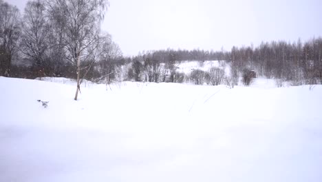 está-nevando-fuera-de-la-ciudad