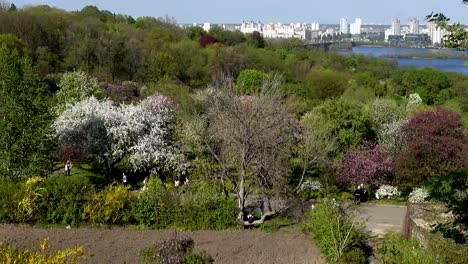 Menschen-spazieren-Sie-im-Frühling-im-Botanischen-Garten