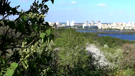 View-of-Kiev-and-Dnieper-from...