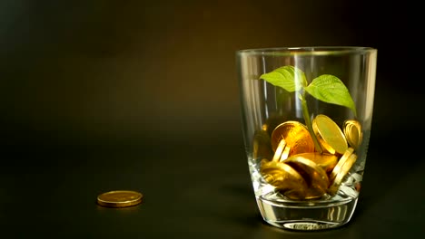 Goldmünzen-in-Glas-Jar-und-grüne-Blatt-sprießen-auf-schwarzem-Hintergrund.-Rotierende,-Verdrehung,-wirbelnden,-Spinnerei-Penny.