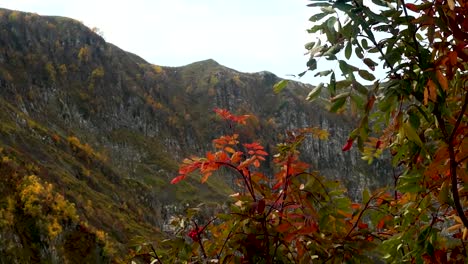 Otoño-en-las-montañas-Aibga