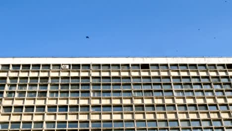 Facade-de-rascacielos.--Muchas-ventanas-de-geometría.