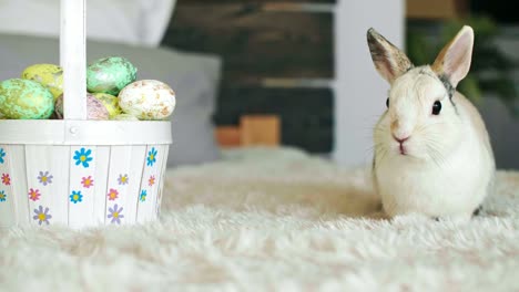 Conejo-de-Pascua-y-cesta-de-huevos-de-Pascua