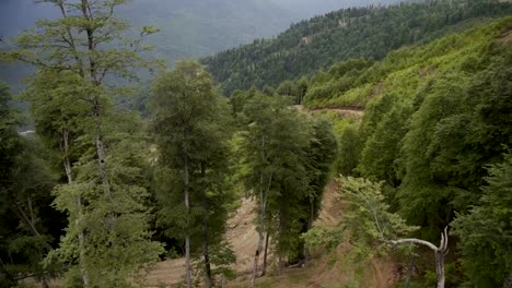 Luftaufnahme-des-schönen-Berges-und-des-schönen-Waldes