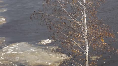 autumn-river-Vyatka-view-from-the-city's-waterfront