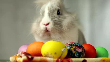 Conejito-de-pascua-con-huevos-de-Pascua