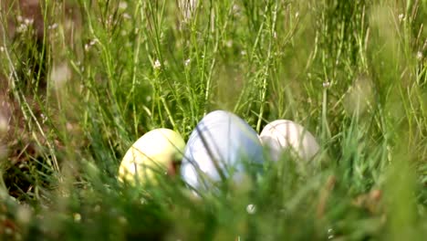 Nido-de-huevos-de-Pascua-sentado-en-soleado-campo-de-hierba-en-la-mañana-de-Pascua