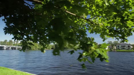 The-palace-on-the-shore-of-the-pond-in-the-park-of-Pushkin-near-St.-Petersburg.-shore-of-lake-in-St.-Petersburg.-Beautiful-russian-landscape-with-willows-near-water-of-a-lake-and-clouds-in-blue-sky