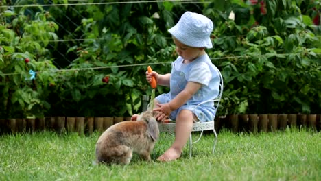 Lindo-bebé-niño,-niño-alimentación-conejito-con-zanahorias-en-el-parque,-al-aire-libre