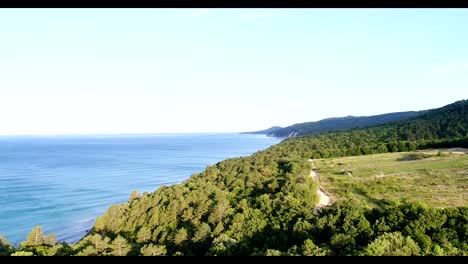 Luftaufnahmen,-blaues-Meer,-grüne-Wald-und-Feldweg.