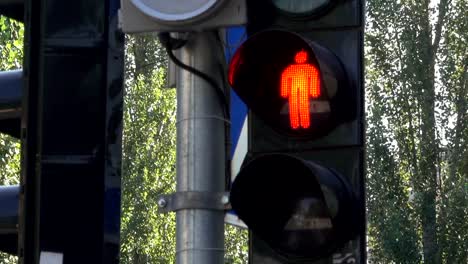 The-traffic-light-regulates-the-movement-of-cars