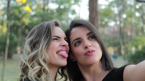 Amigas-tomando-un-selfie-con-teléfono-móvil-en-el-Parque