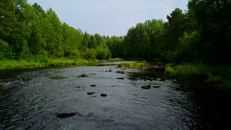 Aerial-sliding-by-the-forest-river-at-Karelia,-Russia