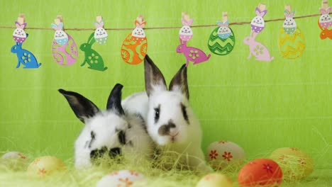 Easter-decoration-with-two-bunnies