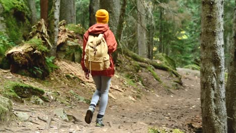 Schlankes-Mädchen-geht-den-Weg-in-den-Nadelwald