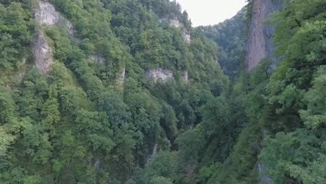 Vuelo-de-drones-en-un-hermoso-desfiladero-de-montaña-cubierto-de-bosque.