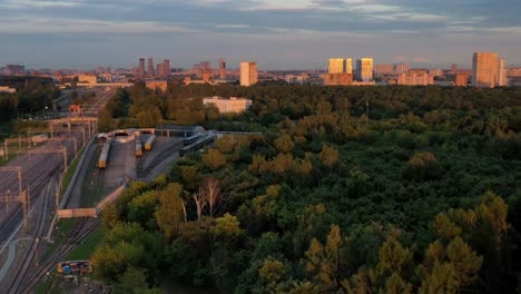 Luftaufnahme-der-Intracity-Bahn,-die-durch-das-Parkgebiet-führt