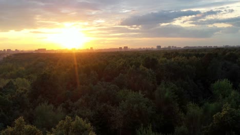 Über-die-Bäume-eines-großen-Stadtparks-zum-Sonnenuntergang-fliegen