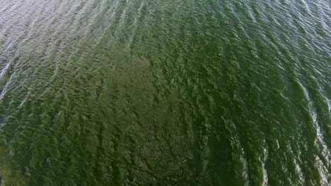 Magnificent-bird`s-eye-view-of-the-rippling-dark-green-waters-of-the-Dnipro-river-on-a-sunny-day-in-summer.-They-look-like-twisting-snakes.