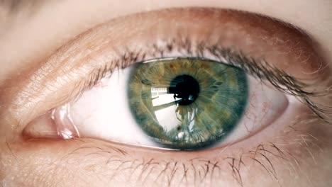 Green-human-eye-of-young-boy-looking-at-camera,-close-up.