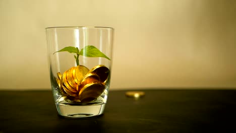 Goldmünzen-in-Glas-Jar-und-grüne-Blatt-sprießen-auf-schwarzem-Hintergrund.-Rotierende,-Verdrehung,-wirbelnden,-Spinnerei-Penny.