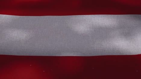 Nationalflagge-Österreich---winken