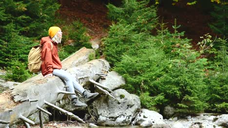 Buena-chica-turista-en-un-sombrero-y-con-una-mochila-sentada-en-un-tronco-acostado-en-el-bosque