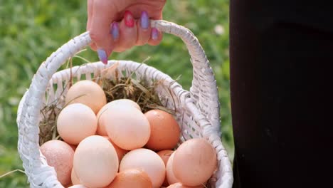 Muchos-huevos-de-pollo-están-en-la-cesta-en-las-manos-de-una-granja-de-mujeres.