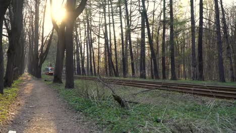 Tram-ride-through-the-city-Park