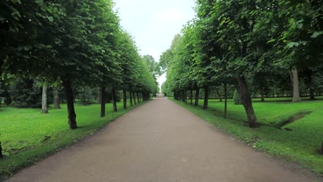 Alley-en-el-parque-en-Peterhof