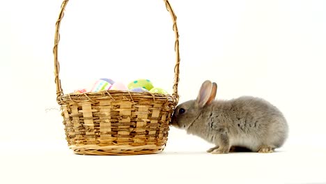 Easter-eggs-in-wicker-basket-and-Easter-bunny