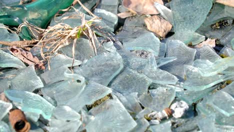 Pieces-of-broken-glasses-scattered-on-the-ground