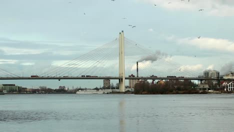 Vögel-in-den-Himmel-über-Schrägseilbrücke-Kreisen