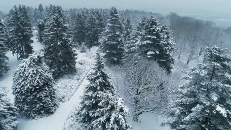 Drohnenflug-über-den-Winter-Park.-Nationale-Botanische-Garten-von-Kiew,-Ukraine