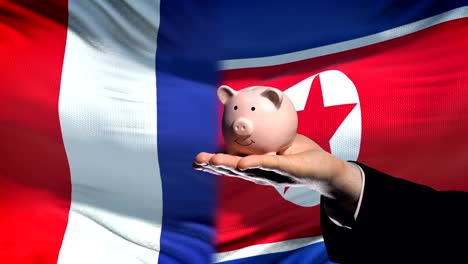 Frankreich-Investitionen-in-Nordkorea-Hand,-Geld-im-Sparschwein-Flagge-Hintergrund