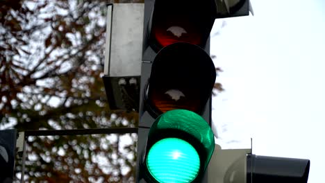 Ampel.-Ampeln-arbeiten-in-einer-großen-Stadt-am-Scheideweg.