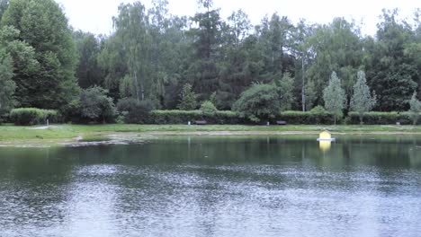 City-pond-in-the-park