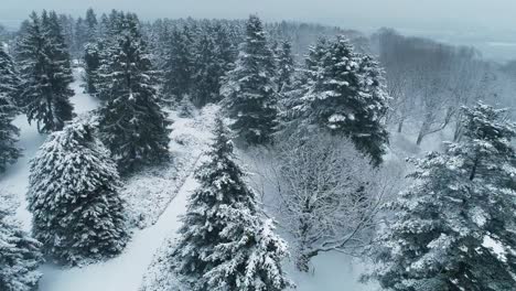 Drohnenflug-über-den-Winterpark.-Nationaler-Botanischer-Garten-von-Kiyv,-Ukraine