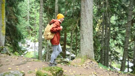 Schlankes-Mädchen-geht-den-Weg-in-den-Nadelwald