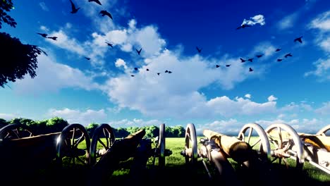 Medieval-cannons-in-the-field,-in-the-middle-of-green-grass-on-a-clear-Sunny-day,-before-the-battle.