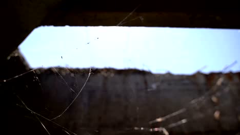 Web-on-an-abandoned-structure.-Slow-motion