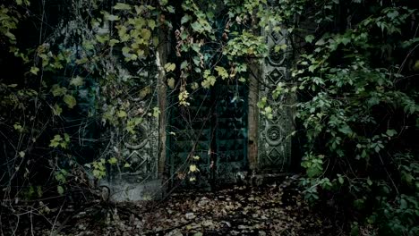 Old-building-entrance-under-tree-leaves,-ancient-architecture,-mysterious-place