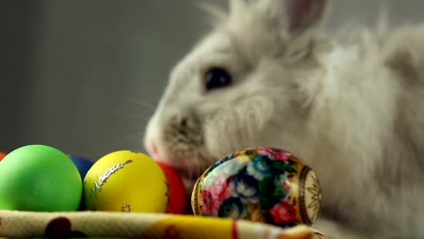 Conejito-de-pascua-con-huevos-de-Pascua