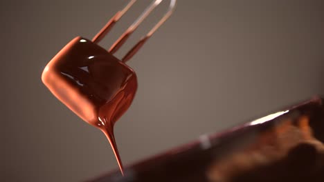 Candy-dipped-in-the-liquid-chocolate