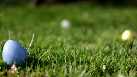 Camera-pans-to-blue-vibrant-easter-egg-with-others-in-background-in-sunny-field