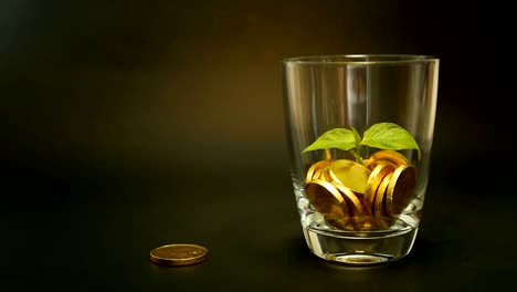 Goldmünzen-in-Glas-Jar-und-grüne-Blatt-sprießen-auf-schwarzem-Hintergrund.-Rotierende,-Verdrehung,-wirbelnden,-Spinnerei-Penny.