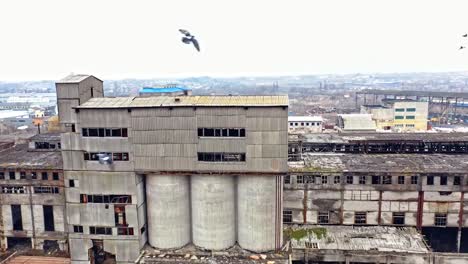 Vögel-fliegen-nach-den-Militäraktionen-über-das-desolate-Viertel-mit-vielen-verlassenen-Gebäuden-in-einer-Großstadt.