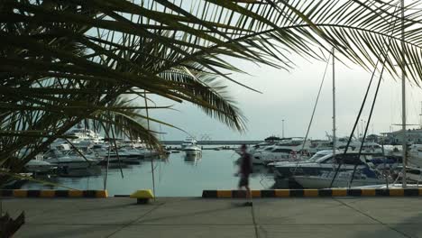 Timelapse-shooting-video.-The-black-sea-coast-of-Sochi.-Seaport-yachts-and-boats-at-the-pier.-Tourists-walk-along-the-waterfront.-The-boat-is-moored-at-the-pier.