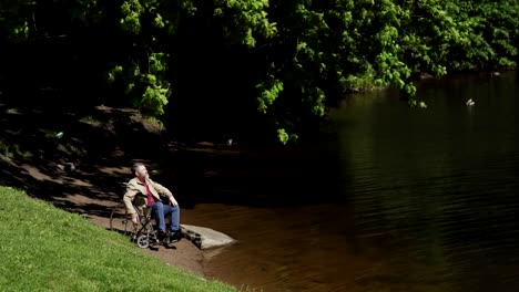 Hombre-barbudo-de-la-tercera-edad-en-silla-de-ruedas-mirando-a-la-vista-por-el-lago-en-el-parque-verde-en-el-día-de-verano-ventoso.-Discapacitados-maduros-macho-contemplando-en-el-lago